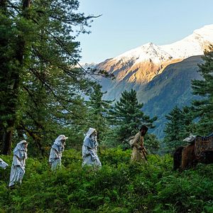 Bilder Black Narcissus