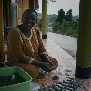 Bilder Das Fieber – Der Kampf gegen Malaria