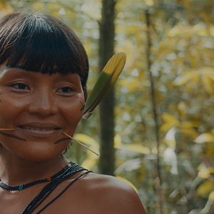 Bilder The Last Forest