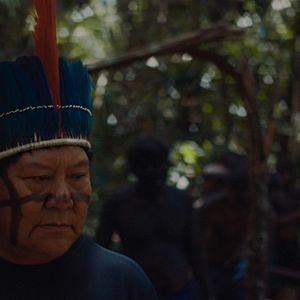 Bilder The Last Forest