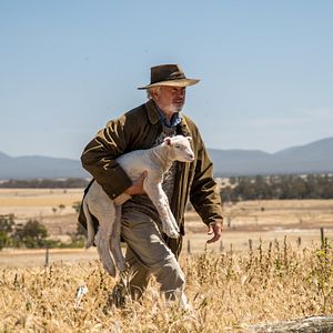 Bilder Besser wird's nicht