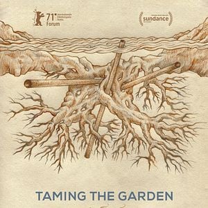 Bilder Die Zähmung der Bäume - Taming the Garden