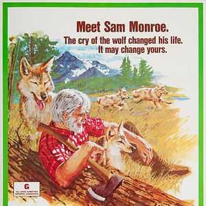 Bilder So frei wie der Wind