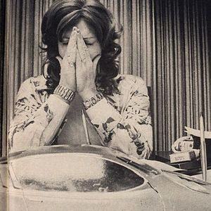 Bilder The Lady and the Dale