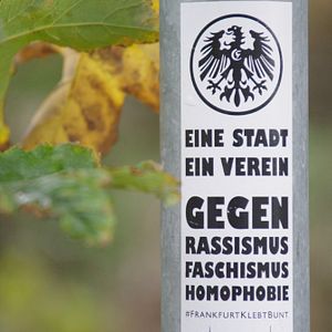 Bilder Schwarze Adler