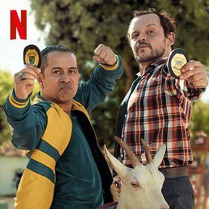 Bilder Zwei Bullen auf Ziegenjagd