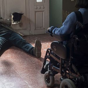 Bilder Growl - Er riecht deine Angst