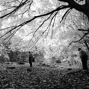 Bilder The Better Angels