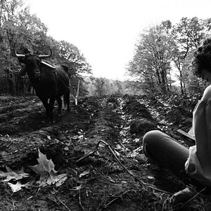 Bilder The Better Angels