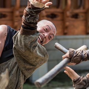 Bilder The Swordsman