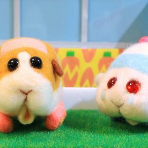 Bilder Pui Pui Molcar