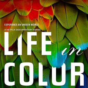 Bilder Das Leben in Farbe mit David Attenborough