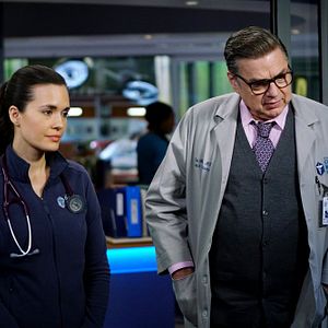 Bilder Torrey DeVitto