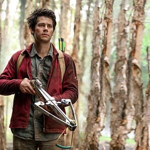 Bilder Love And Monsters