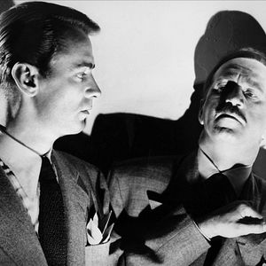 Bilder Die blaue Dahlie