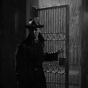 Bilder Die blaue Dahlie