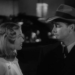 Bilder Die blaue Dahlie