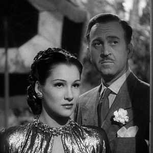 Bilder Die blaue Dahlie