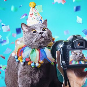 Bilder Mein Haustier ist ein Star