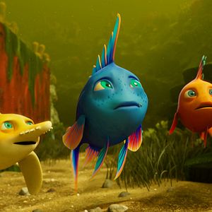 Bilder Shorty und das Geheimnis des Zauberriffs