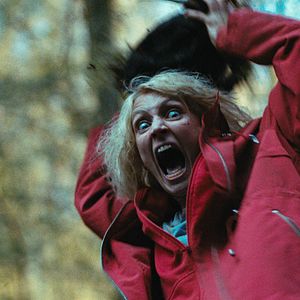 Bilder Hunted - Waldsterben