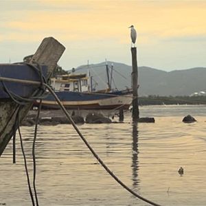 Bilder Doidos de Pedra - O Paraíso Ameaçado