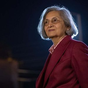 Bilder Searching For Sheela