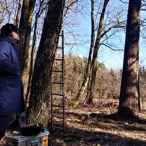 Bilder A Symphony Of Noise