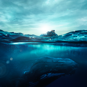 Bilder Der Klang der Tiefe