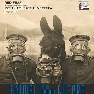 Bilder Animali nella Grande Guerra