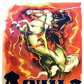 Bilder Schwarzer Adler