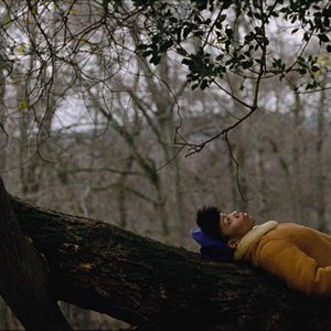 Bilder Master Of None