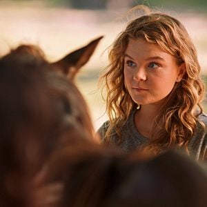 Bilder A Summer To Remember