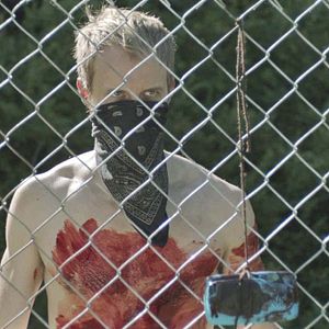 Bilder Adam David Thompson