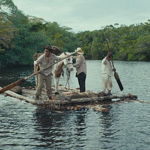 Bilder Tragic Jungle