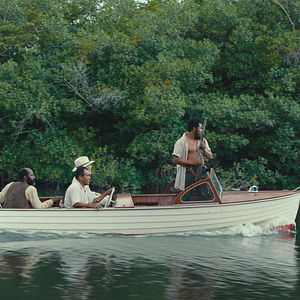 Bilder Tragic Jungle