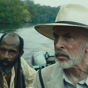 Bilder Tragic Jungle