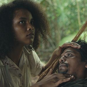 Bilder Tragic Jungle