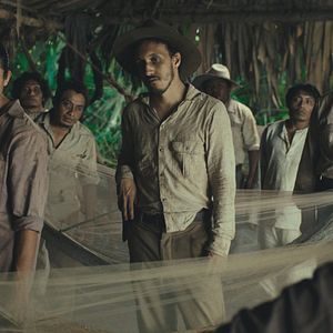 Bilder Tragic Jungle