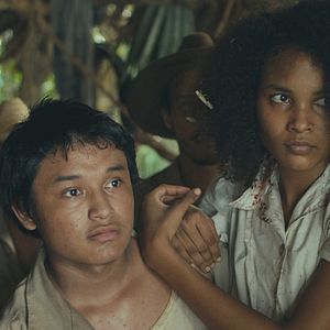 Bilder Tragic Jungle