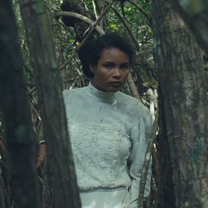 Bilder Tragic Jungle