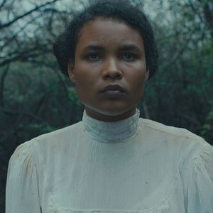 Bilder Tragic Jungle