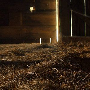 Bilder Honeydew - You Must Be Starving