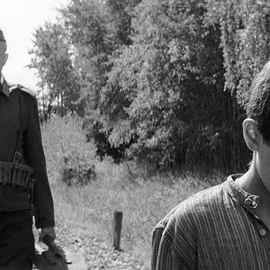 Bilder The Painted Bird