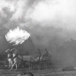 Bilder The Painted Bird