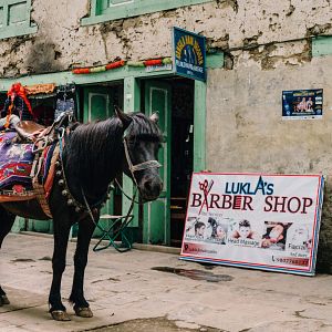 Bilder Together Free