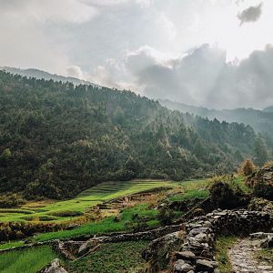 Bilder Together Free