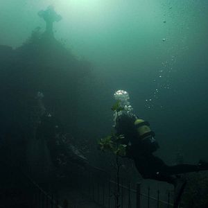 Bilder The Deep House