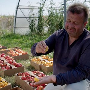 Bilder Wurzeln des Überlebens