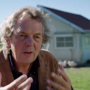 Bilder Wurzeln des Überlebens